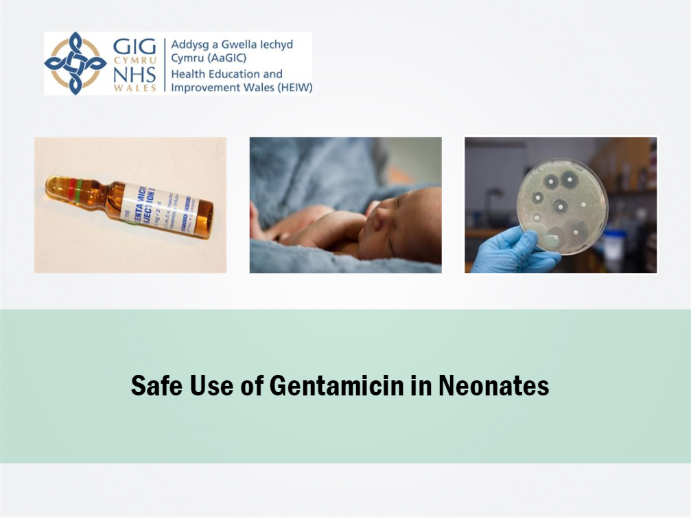 is gentamicin safe in breastfeeding